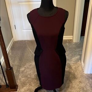 LOFT - Burgundy and Black Women's Dress